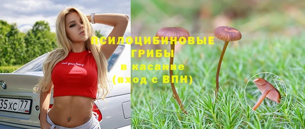мяу мяу мука Богородск