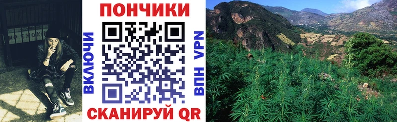 MEGA маркетплейс  Высоковск  Бошки марихуана планчик 